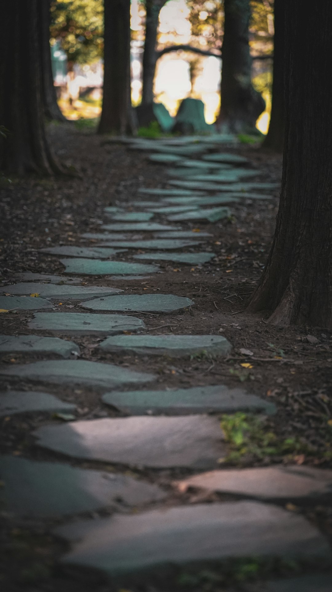 A stone path in the middle of a forest
